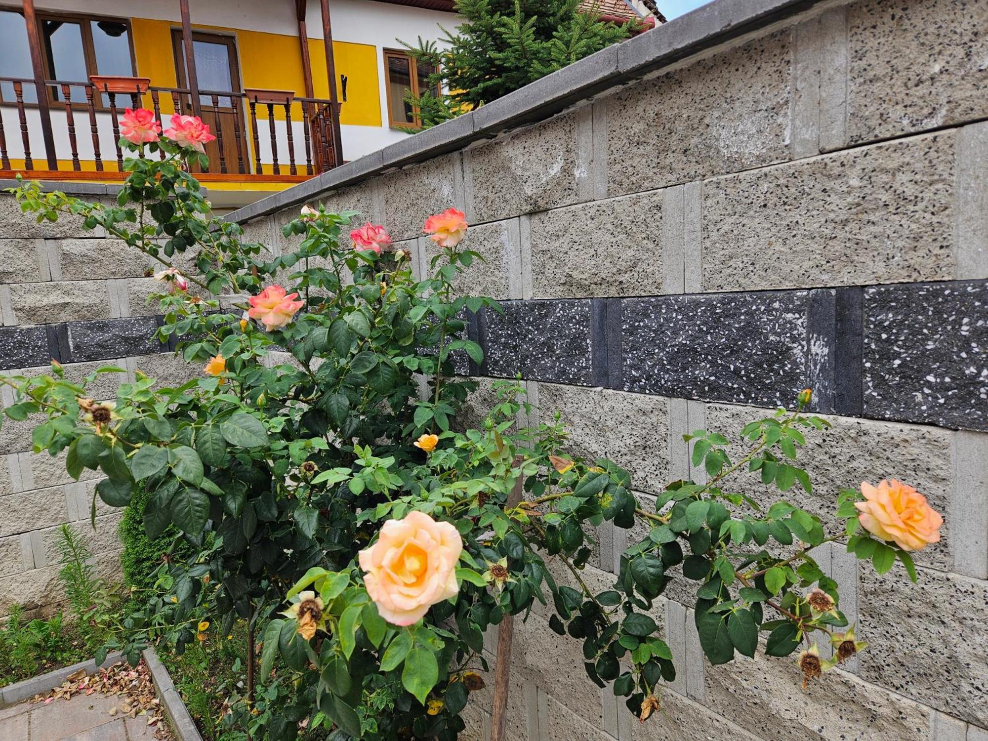 Casa Raduly Aparthotel Sibiu Buitenkant foto